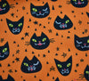 Polycotton Fabric - Creepy Cat Face Orange