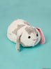 McCall's Pattern M8301 Plushie Pets