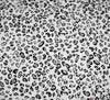 Cotton Viscose Fabric - Leopard Print White