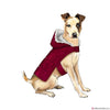 Simplicity Pattern S9416 Dog Coats