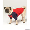 Simplicity Pattern S9532 Pet Clothes