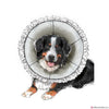 Simplicity Pattern S9582 Pet Elizabethan Collars - by Carla Reiss