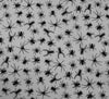 Polycotton Fabric - Incy Wincy Black Spider