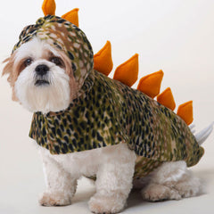 Costume Patterns for Pets