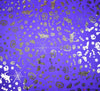 Halloween Foil Fabric - Purple / Gold Witch